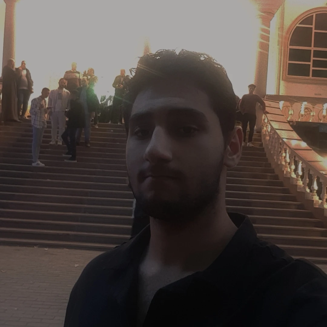 A description of the image