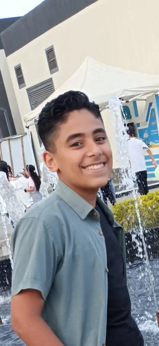 A description of the image