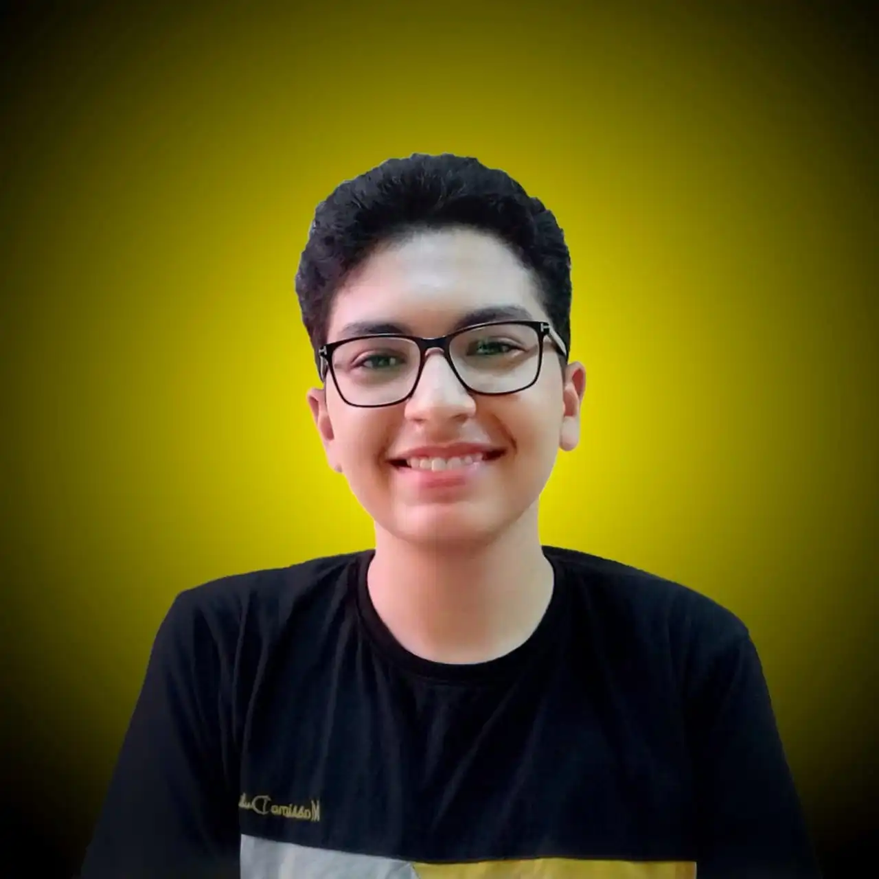 A description of the image